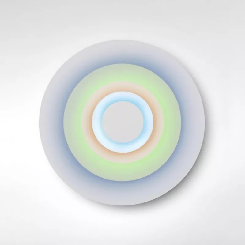 Ceiling-wall lamp Concentric L Ø 101.5 cm